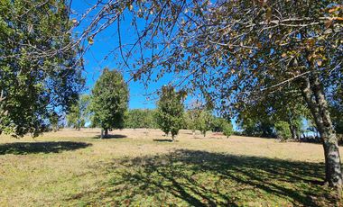 Parcela 5.000 m² en Villarrica | Chihuaigue | APR + Excelente Conectividad | $38 Millones