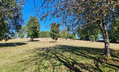 Parcela 5.000 m² en Villarrica | Chihuaigue | APR + Excelente Conectividad | $38 Millones