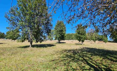 Parcela 5.000 m² en Villarrica | Chihuaigue | APR + Excelente Conectividad | $38 Millones