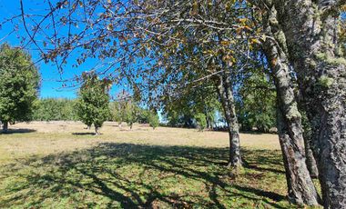 Parcela 5.000 m² en Villarrica | Chihuaigue | APR + Excelente Conectividad | $38 Millones