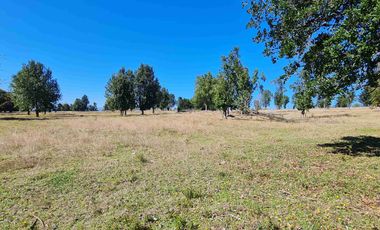 Parcela 5.000 m² en Villarrica | Chihuaigue | APR + Excelente Conectividad | $38 Millones