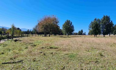 Parcela 5.000 m² en Villarrica | Chihuaigue | APR + Excelente Conectividad | $38 Millones