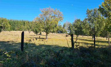 Parcela 5.000 m² en Villarrica | Chihuaigue | APR + Excelente Conectividad | $38 Millones