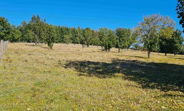 Parcela 5.000 m² en Villarrica | Chihuaigue | APR + Excelente Conectividad | $38 Millones