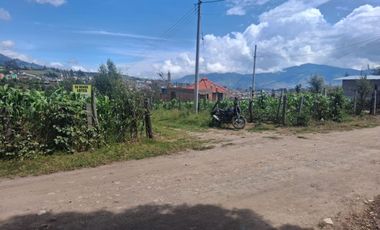 VENTA DE LOTES CATAMBUCO