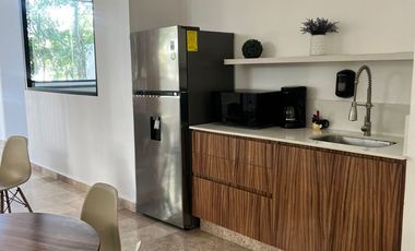 Estudio | Parques Zama – Tulum