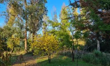 Venta de  Parcela, 2 hectáreas con casa habitación y cabaña  a 10 km de Parral