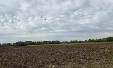 Venta de Parcela Agrícola de 16,14 hectáreas y 19,4 acciones de agua en Yerbas Buenas