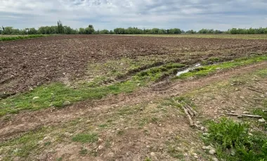 Venta de Parcela Agrícola de 16,14 hectáreas y 19,4 acciones de agua en Yerbas Buenas