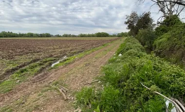 Venta de Parcela Agrícola de 16,14 hectáreas y 19,4 acciones de agua en Yerbas Buenas