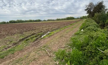 Venta de Parcela Agrícola de 16,14 hectáreas y 19,4 acciones de agua en Yerbas Buenas