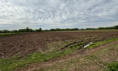Venta de Parcela Agrícola de 16,14 hectáreas y 19,4 acciones de agua en Yerbas Buenas