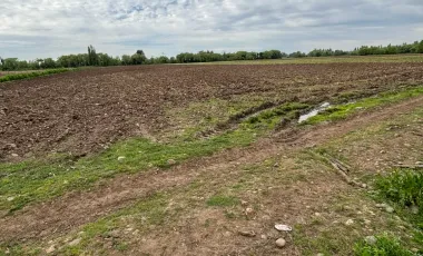 Venta de Parcela Agrícola de 16,14 hectáreas y 19,4 acciones de agua en Yerbas Buenas