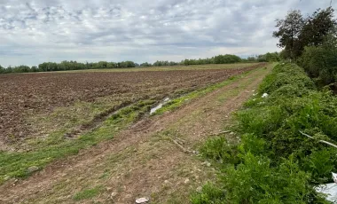 Venta de Parcela Agrícola de 16,14 hectáreas y 19,4 acciones de agua en Yerbas Buenas