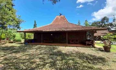 Villa Cisarua puncak Bogor view sungai dan gunung