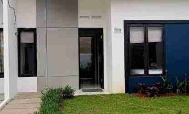 Trilium 3 kamar