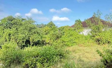 DIJUAL TANAH STRATEGIS – DEKAT PANTAI PANDAWA, BALI
