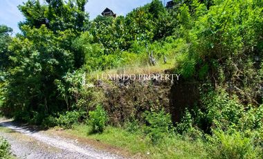 DIJUAL TANAH 47,5 ARE DI GOA GONG