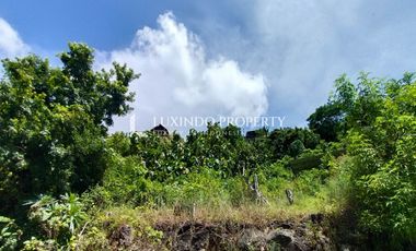 DIJUAL TANAH 47,5 ARE DI GOA GONG