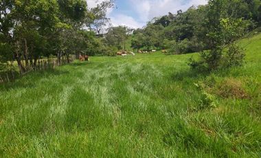 SE VENDE FINCA GANADERA – 26 HECTÁREAS VEREDA BUENA VISTA, YOPAL CASANARE