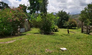 SE VENDE FINCA GANADERA – 26 HECTÁREAS VEREDA BUENA VISTA, YOPAL CASANARE