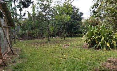 SE VENDE FINCA GANADERA – 26 HECTÁREAS VEREDA BUENA VISTA, YOPAL CASANARE