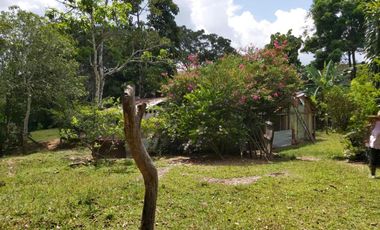 SE VENDE FINCA GANADERA – 26 HECTÁREAS VEREDA BUENA VISTA, YOPAL CASANARE