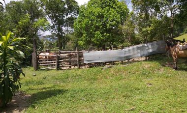 SE VENDE FINCA GANADERA – 26 HECTÁREAS VEREDA BUENA VISTA, YOPAL CASANARE