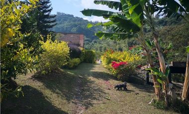 VENTA FINCA BARBOSA