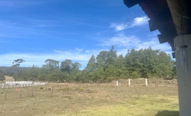 CASA DE CAMPO | JUANACATLAN, TAPALPA | JALISCO
