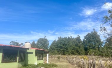 CASA DE CAMPO | JUANACATLAN, TAPALPA | JALISCO