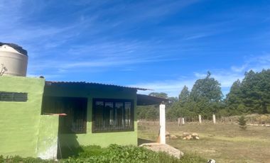 CASA DE CAMPO | JUANACATLAN, TAPALPA | JALISCO