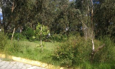 Terreno en  venta para proyecto habitacional.