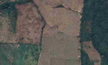 🔥 FUNDO GANADERO OPERATIVO 🔥 49.5 HA CON AGUA NATURAL + INFRAESTRUCTURA COMPLETA – TARAPOTO
