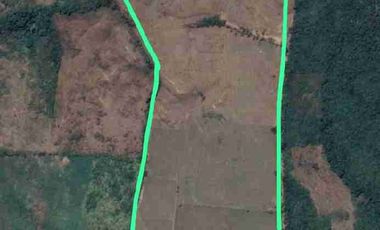 🔥 FUNDO GANADERO OPERATIVO 🔥 49.5 HA CON AGUA NATURAL + INFRAESTRUCTURA COMPLETA – TARAPOTO