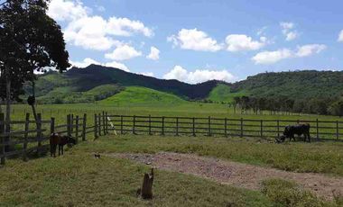 🔥 FUNDO GANADERO OPERATIVO 🔥 49.5 HA CON AGUA NATURAL + INFRAESTRUCTURA COMPLETA – TARAPOTO