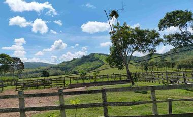 🔥 FUNDO GANADERO OPERATIVO 🔥 49.5 HA CON AGUA NATURAL + INFRAESTRUCTURA COMPLETA – TARAPOTO