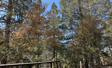 venta de cabaña en Monterreal Arteaga Coahuila