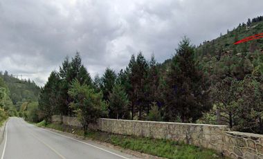 venta de cabaña en Monterreal Arteaga Coahuila