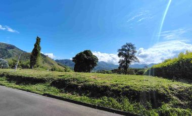 Venta de Lote en Condominio Campestre Combia Pereira