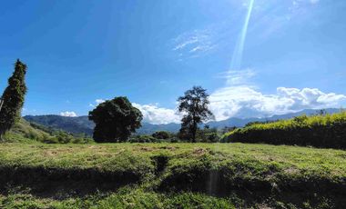 Venta de Lote en Condominio Campestre Combia Pereira