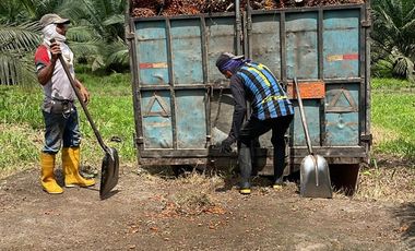 VENTA DE HACIENDO EN LAS GOLONDRINAS
