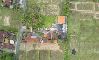 DISEWAKAN JANGKA PANJANG VILLA DENGAN 3 KAMAR TIDUR DI MAS, UBUD