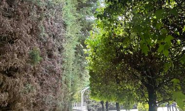NR Finca en Venta El Jacal