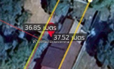 ขายบ้านเดี่ยวชั้นเดียว เนื้อที่ 1 งาน เทิง เชียงราย