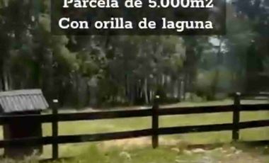 Excelente Parcela con laguna en Santuario Villarrica.