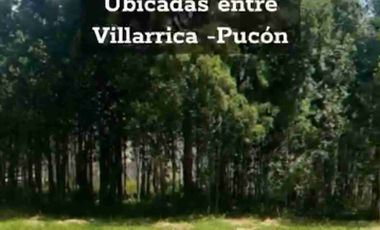 Excelente Parcela con laguna en Santuario Villarrica.