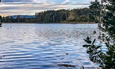 Excelente Parcela con laguna en Santuario Villarrica.