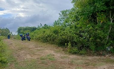 Dijual Tanah 15 Are Lokasi Strategis di Sawangan, Nusa Dua.