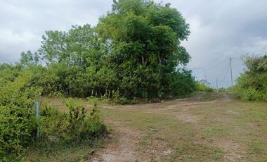 Dijual Tanah 15 Are Lokasi Strategis di Sawangan, Nusa Dua.